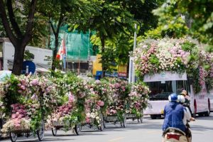 Dịch vụ tổ chức Roadshow Xích lô